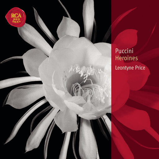 cutie kim在线观看
